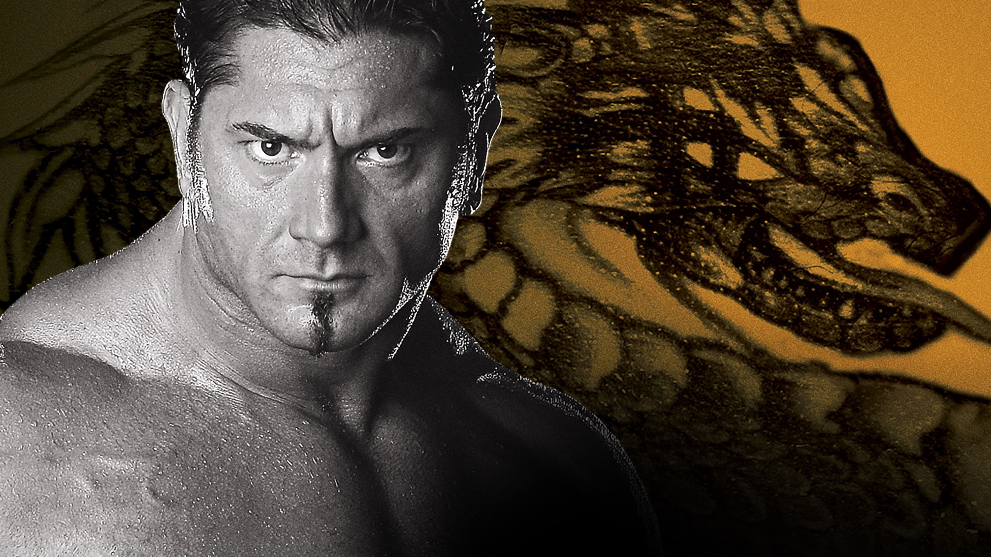 Poster backdrop for WWE New Year's Revolution 2005