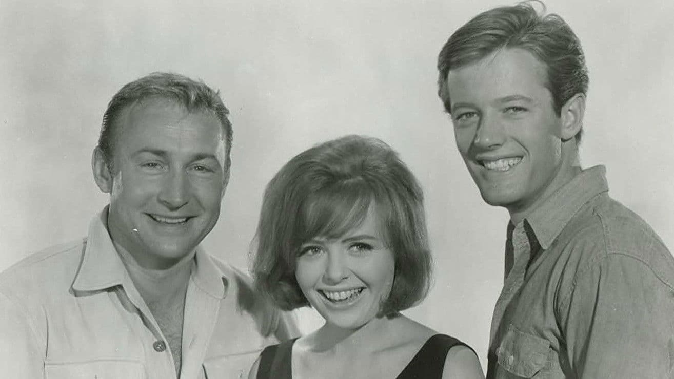 Poster backdrop for The Young Lovers