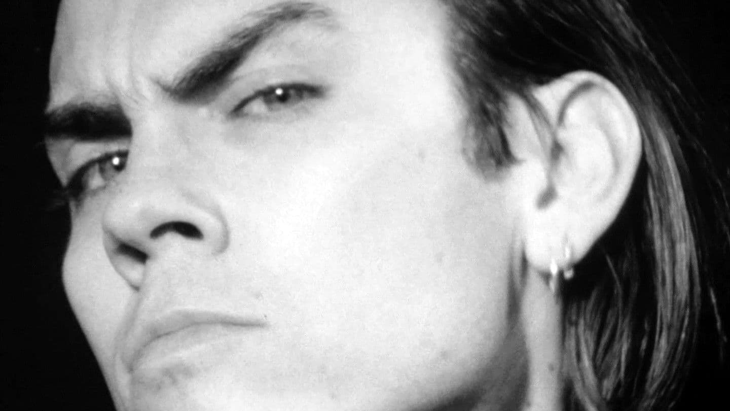 Poster backdrop for The Bitches