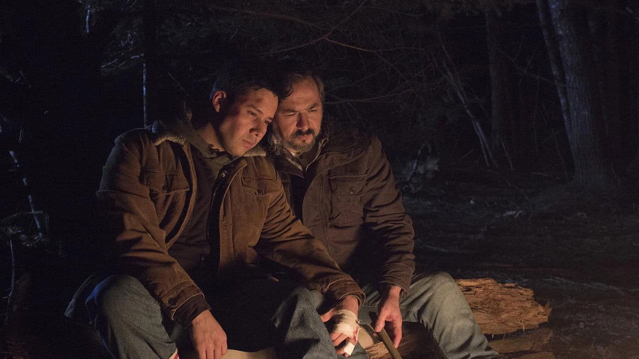 Poster backdrop for North Mountain