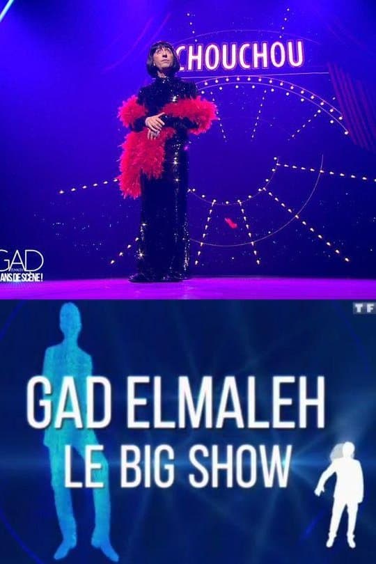 Poster backdrop for Gad Elmaleh - Le Big Show