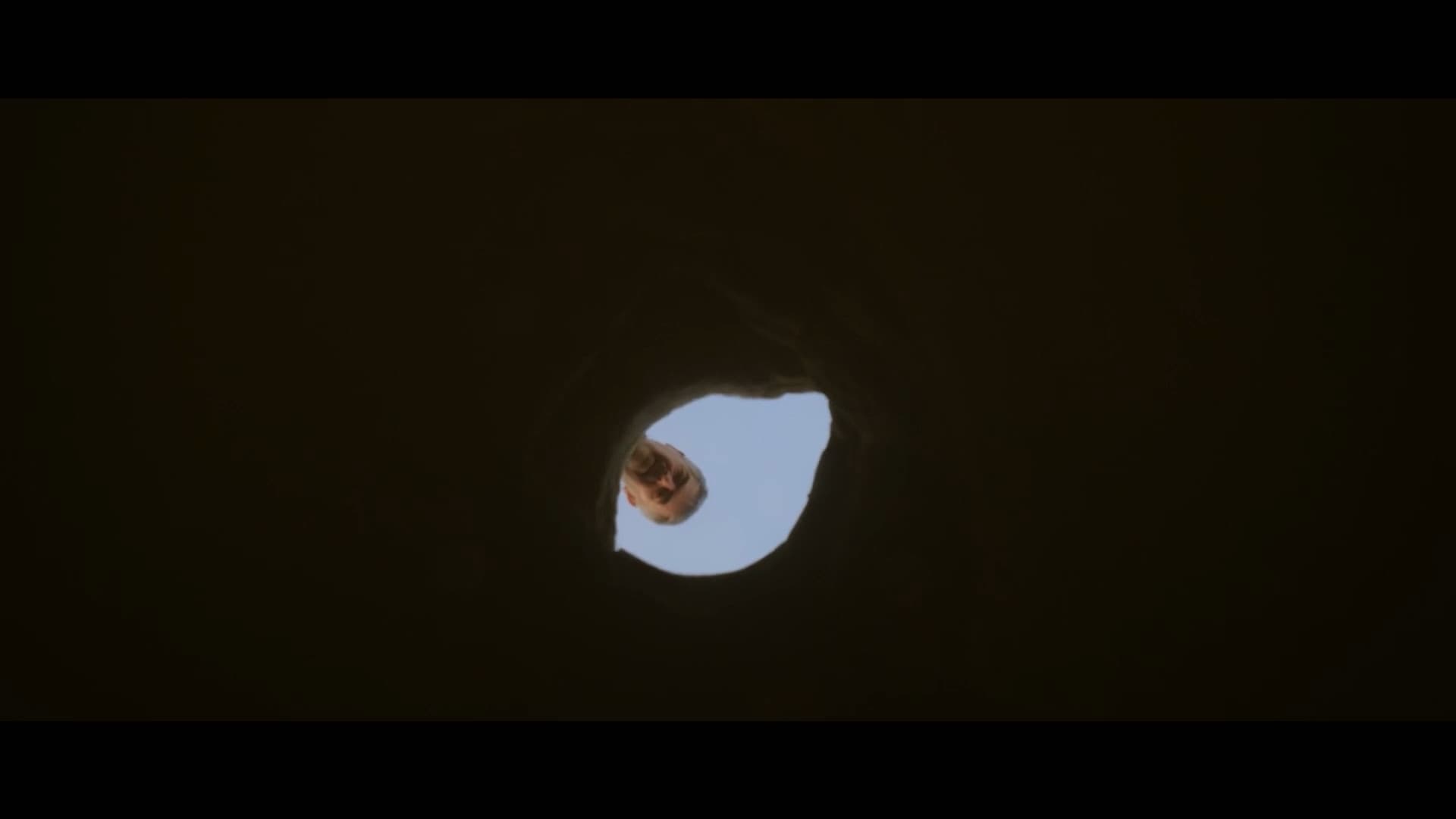 Poster backdrop for The Ant