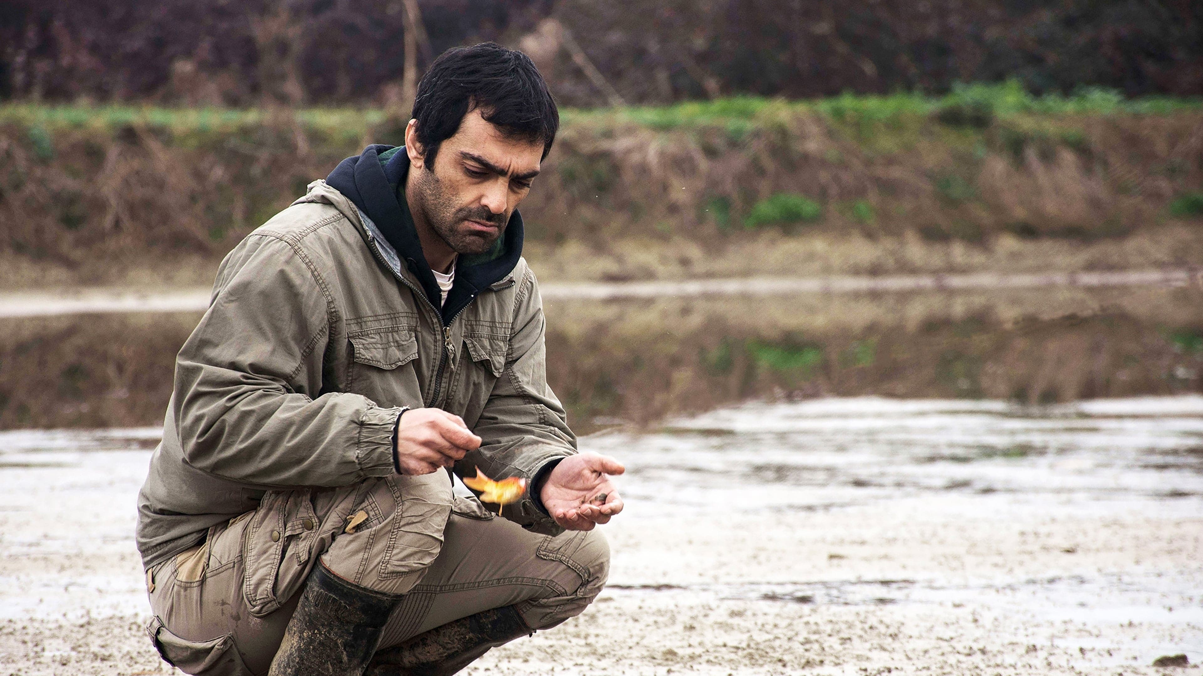 Poster backdrop for A Man of Integrity