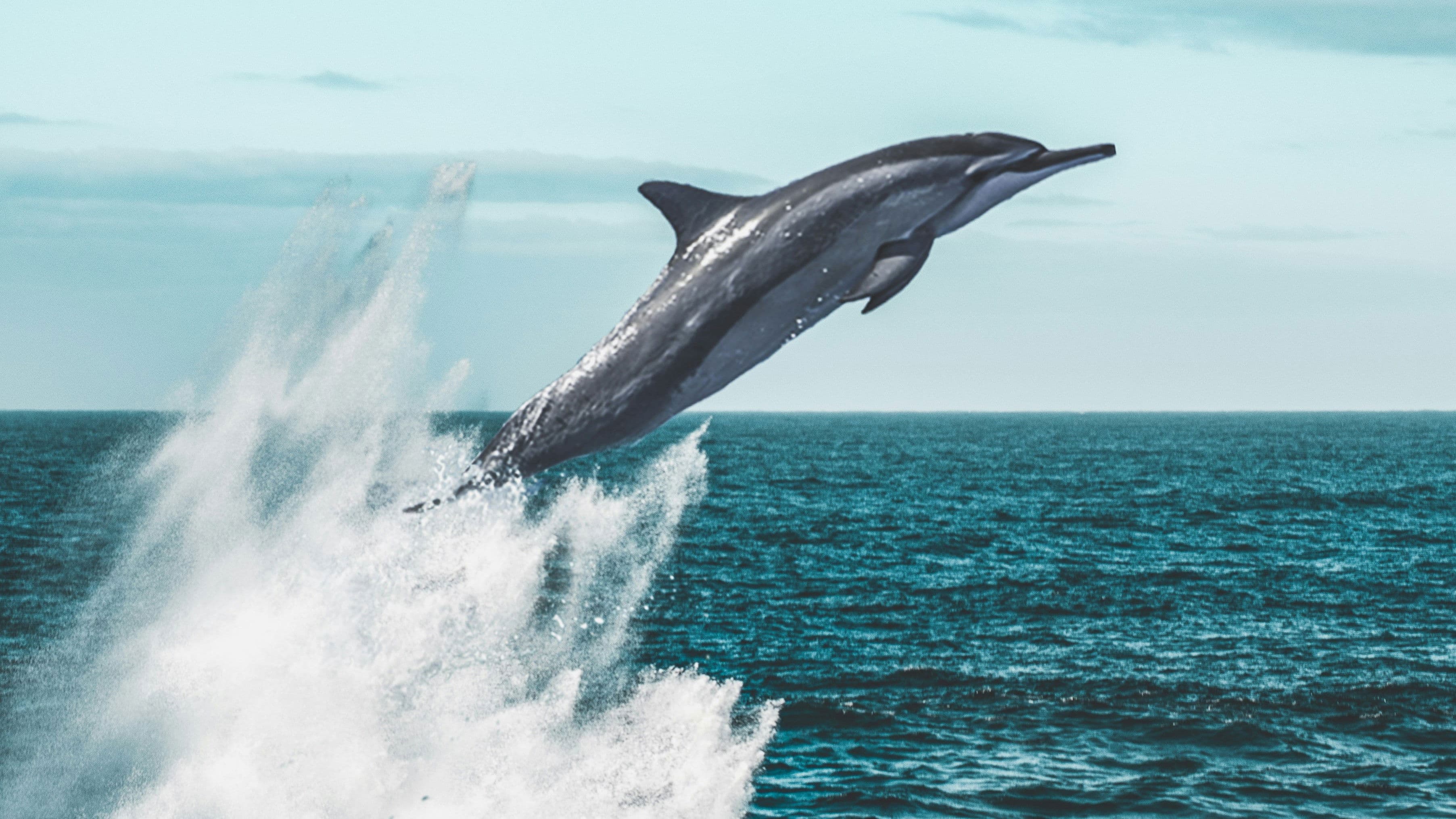 Poster backdrop for Living Waters