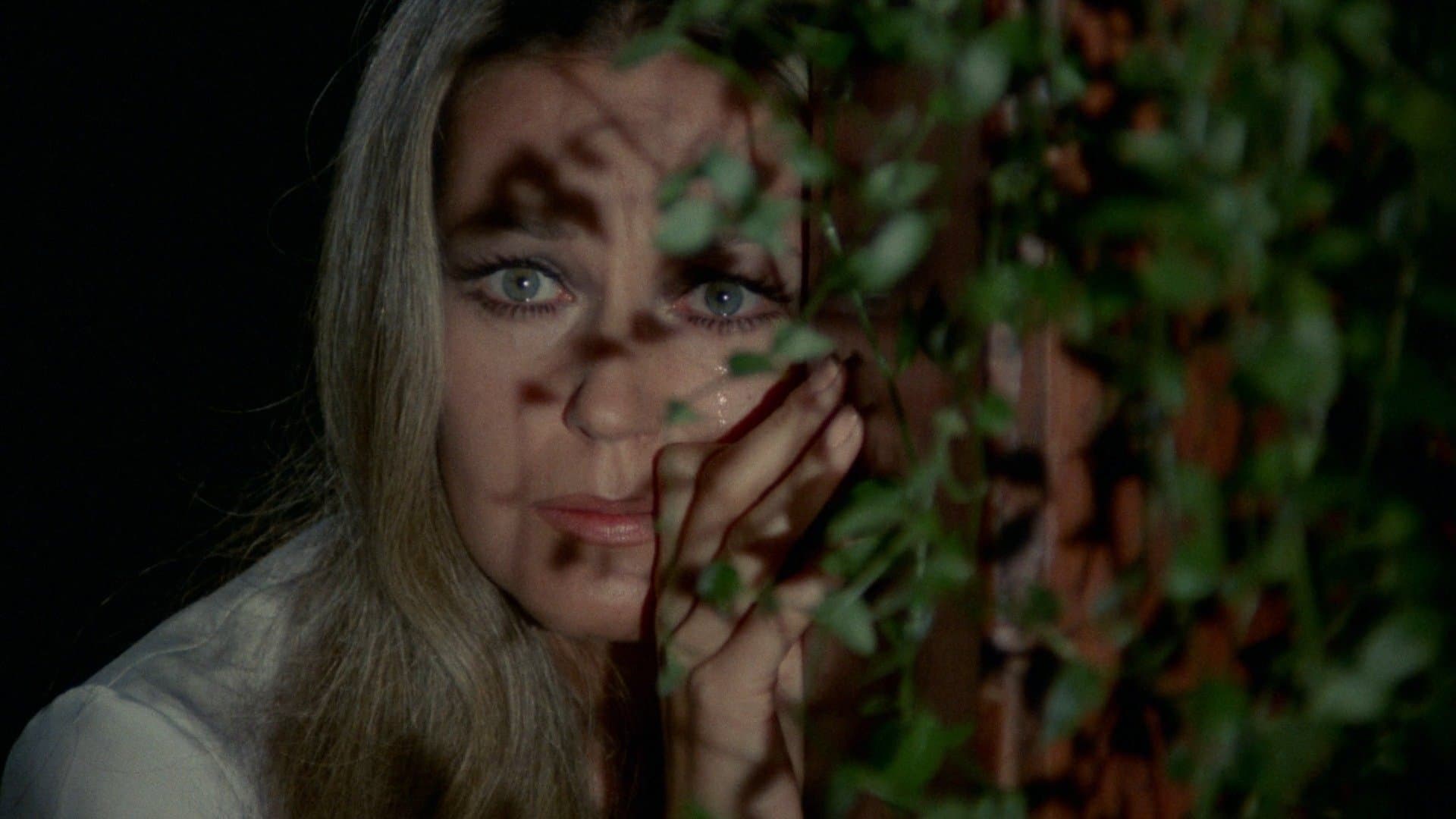 Poster backdrop for In the Eye of the Hurricane