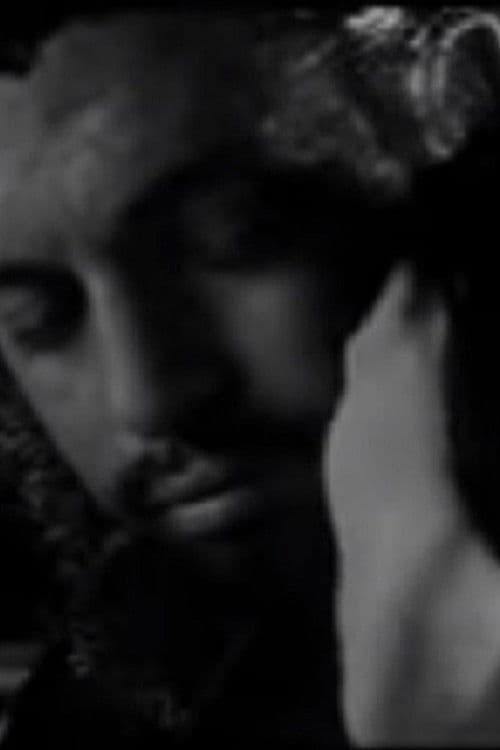 Poster backdrop for Meeting Che Guevara & the Man from Maybury Hill