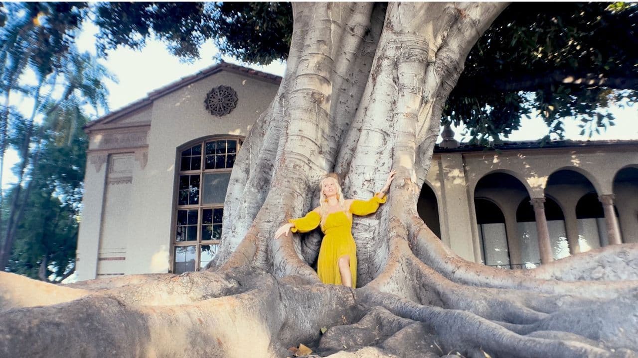 Poster backdrop for Soliloquy of One