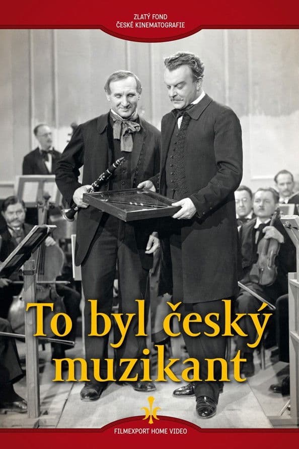 Poster backdrop for To byl český muzikant