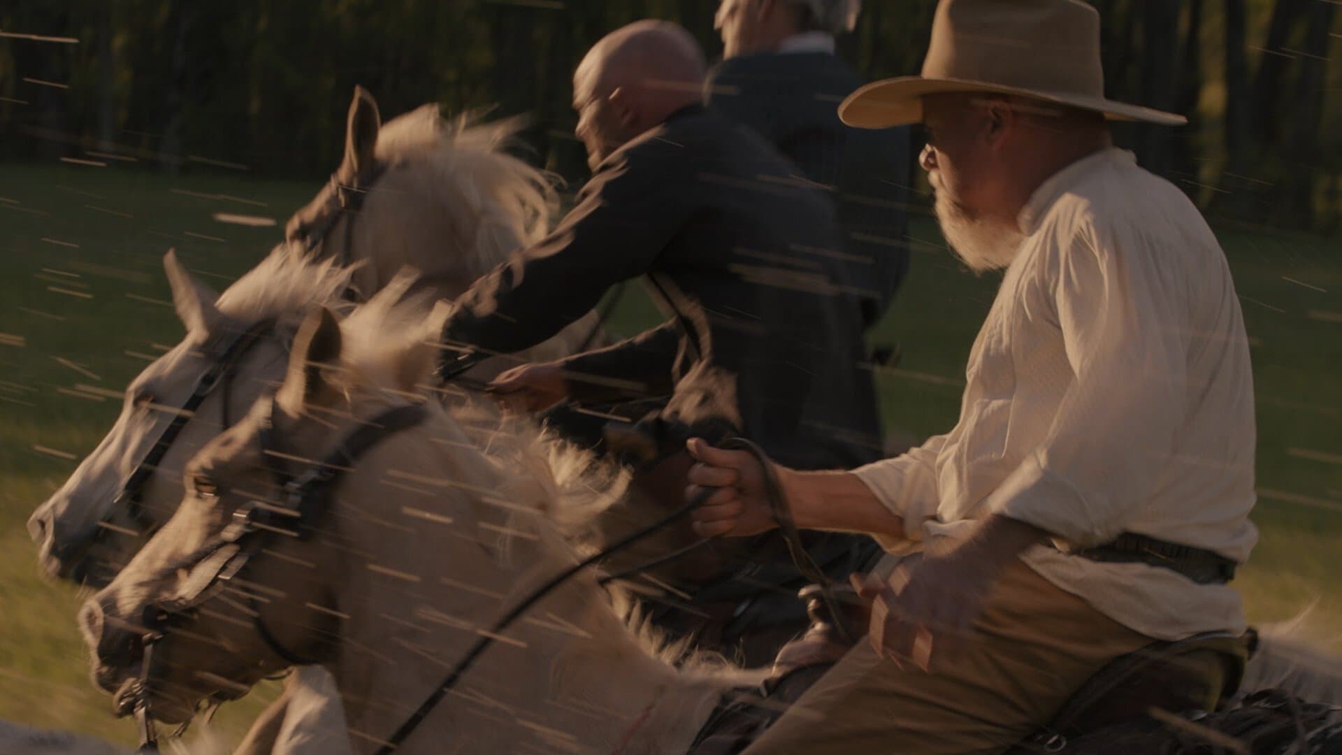 Poster backdrop for Blood Country
