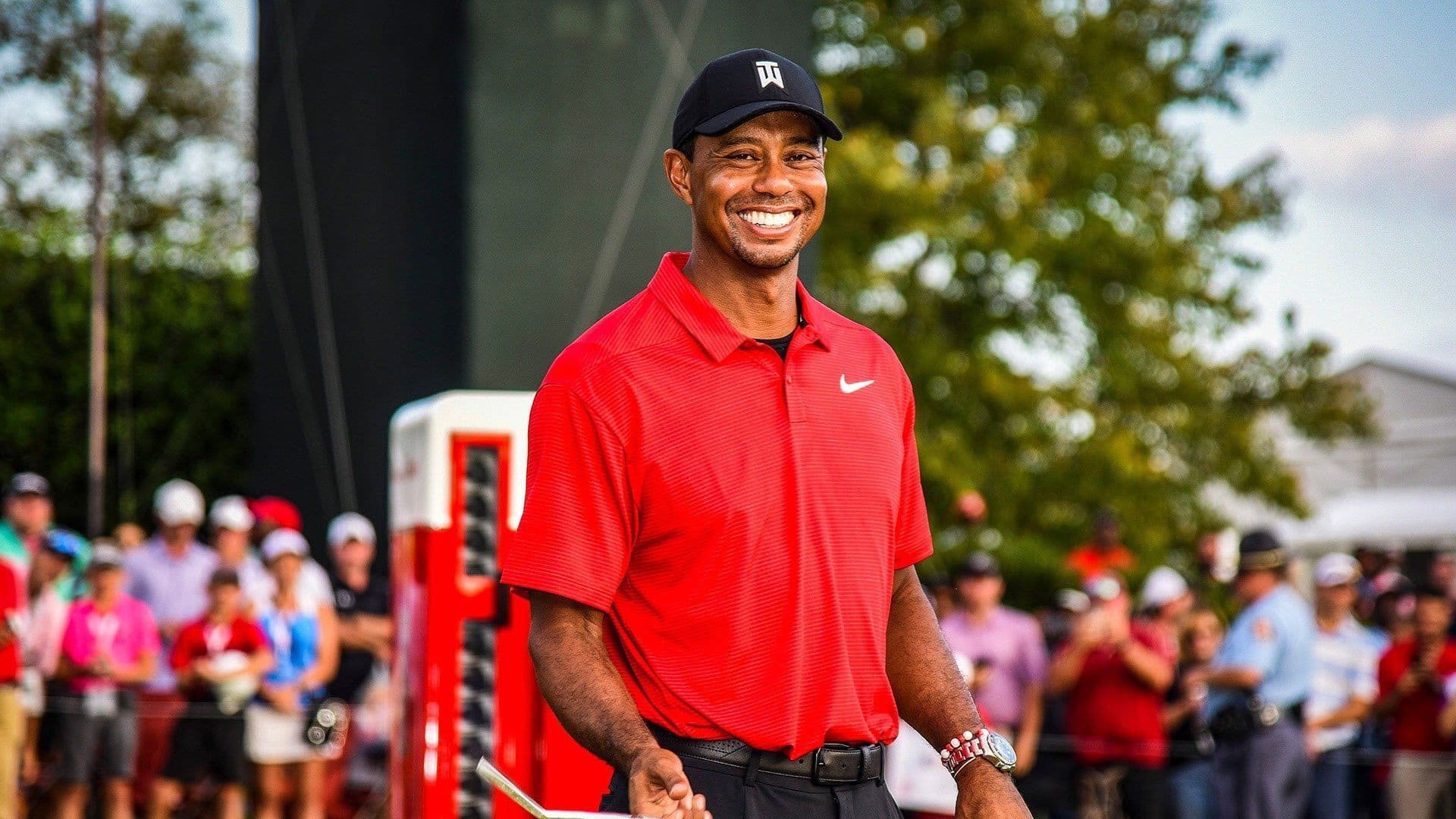 Poster backdrop for 25 Years of Tiger