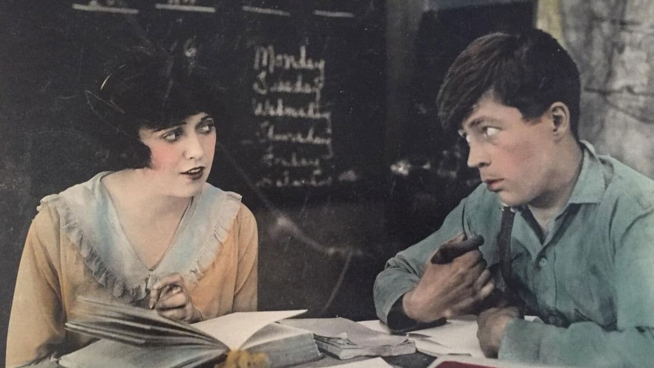 Poster backdrop for Back to the Woods