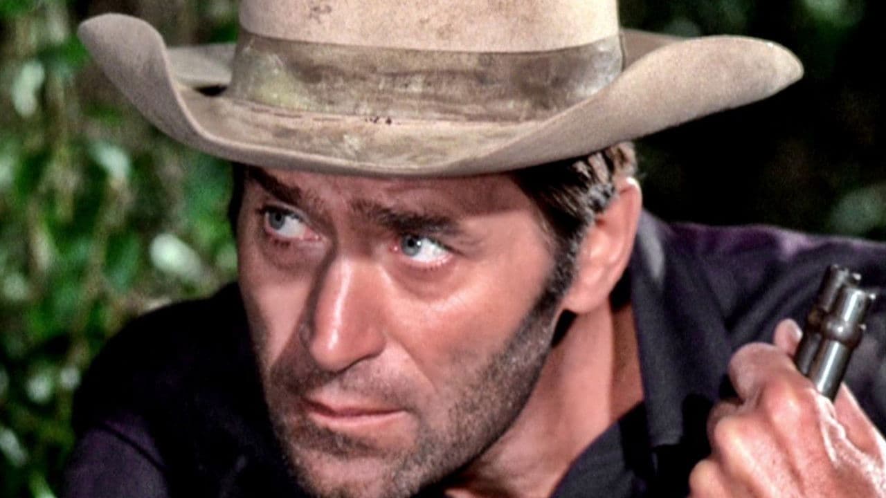 Poster backdrop for Hardcase