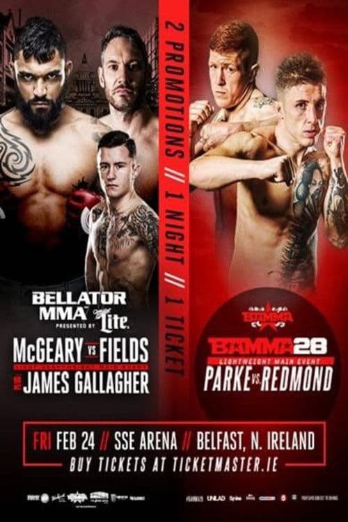 Poster backdrop for Bellator 173: McGeary vs. McDermott