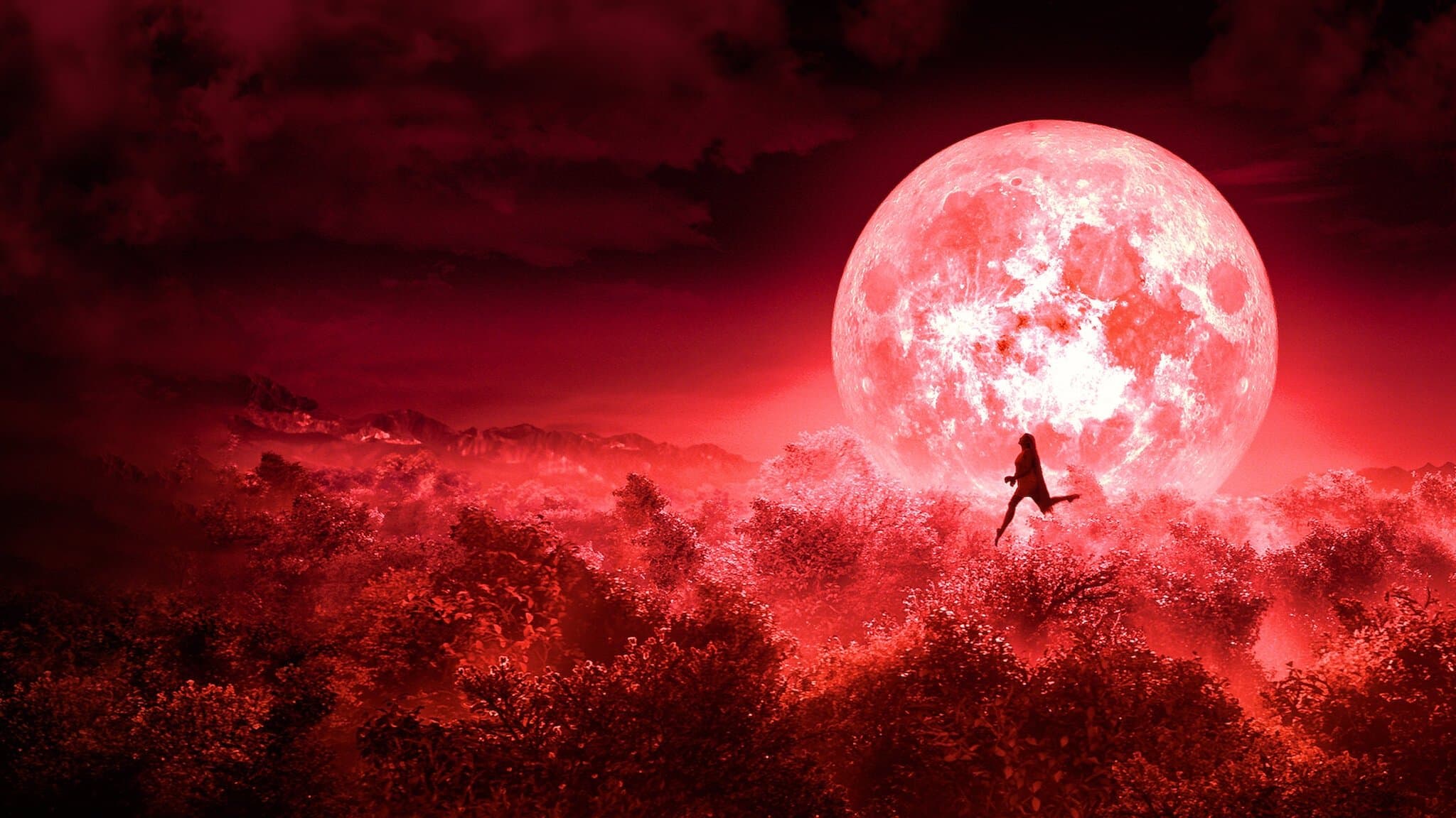 Poster backdrop for Bulbbul