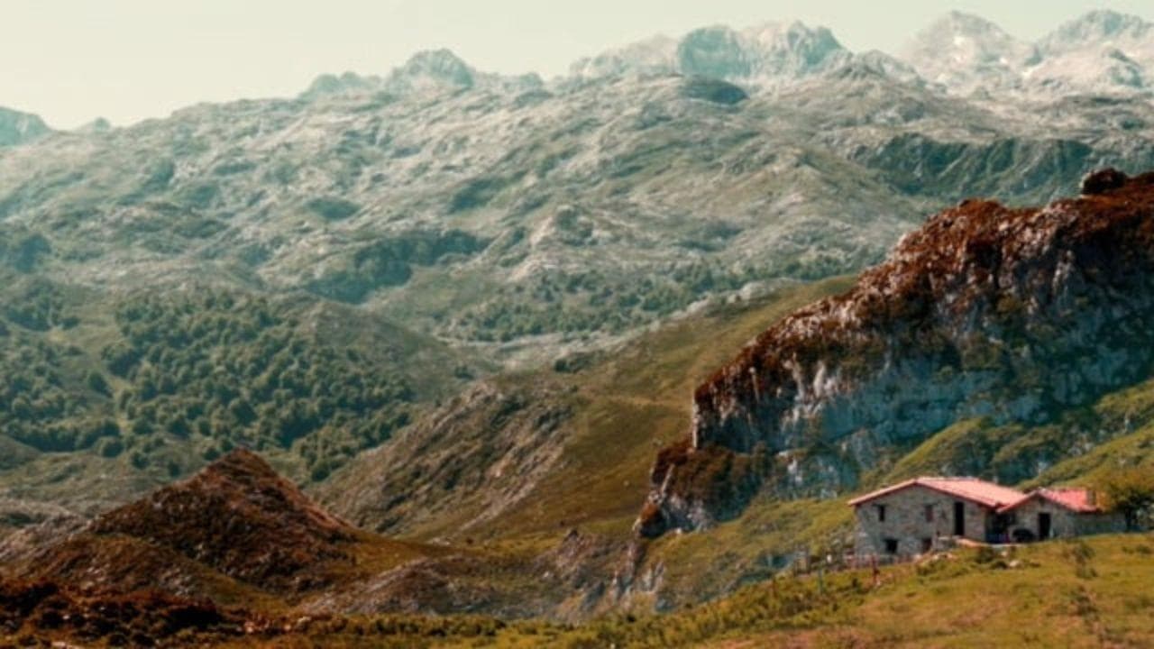 Poster backdrop for Savages: The Wolf's Tale