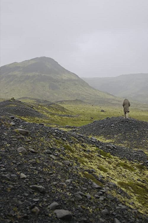 Poster backdrop for Babybird, Unborn