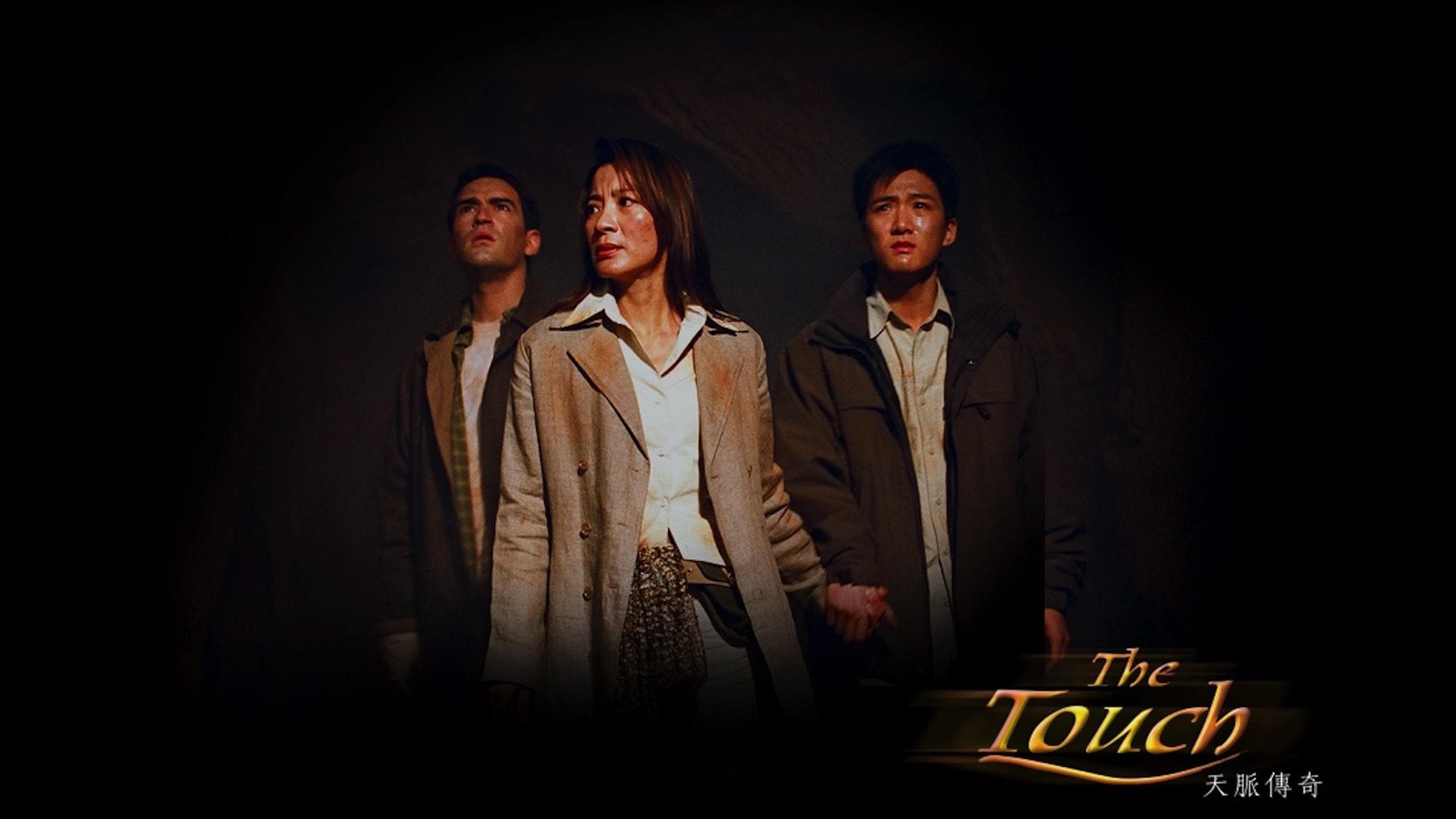 Poster backdrop for The Touch