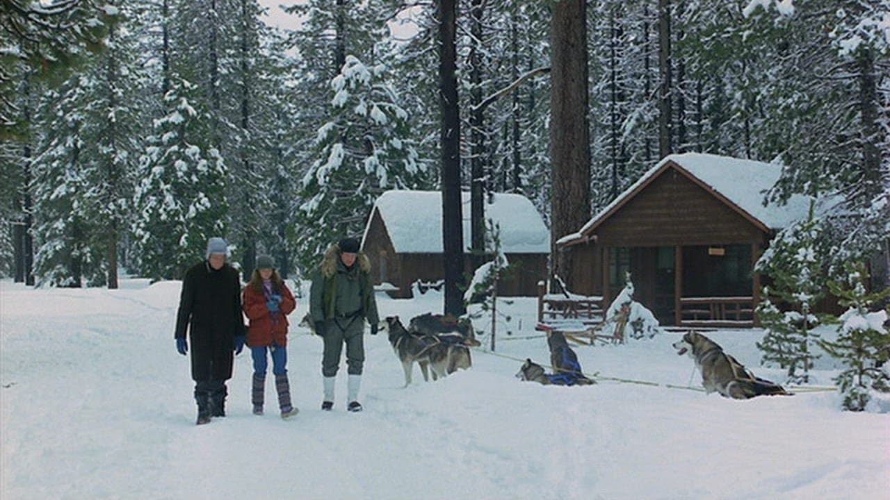 Poster backdrop for The Survivors