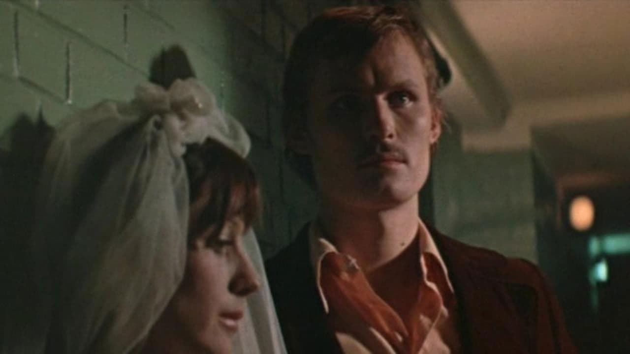 Poster backdrop for Errors of Youth