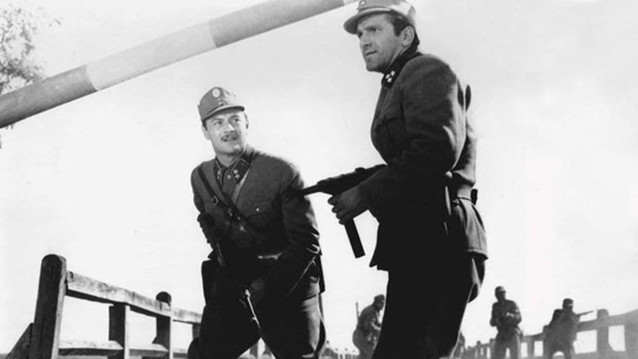 Poster backdrop for Signal Over the City