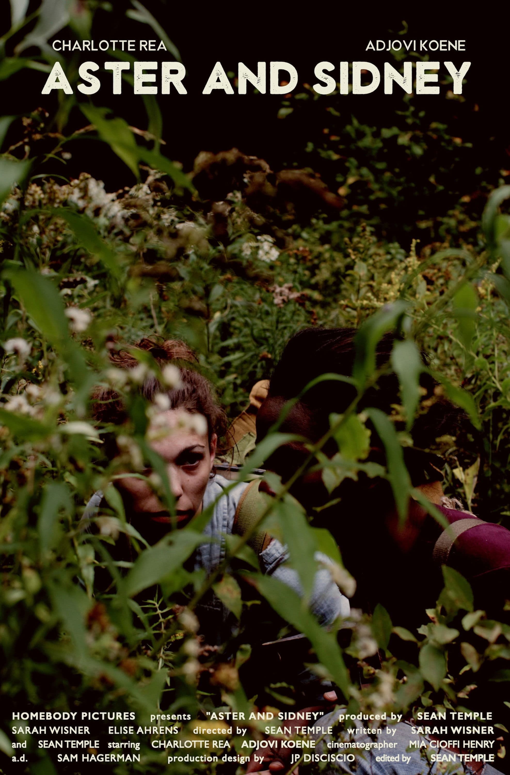 Poster backdrop for Aster and Sidney