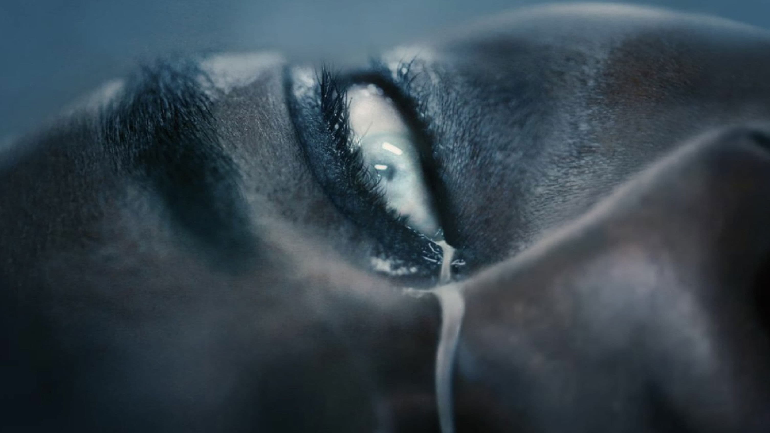 Poster backdrop for Spilled Milk