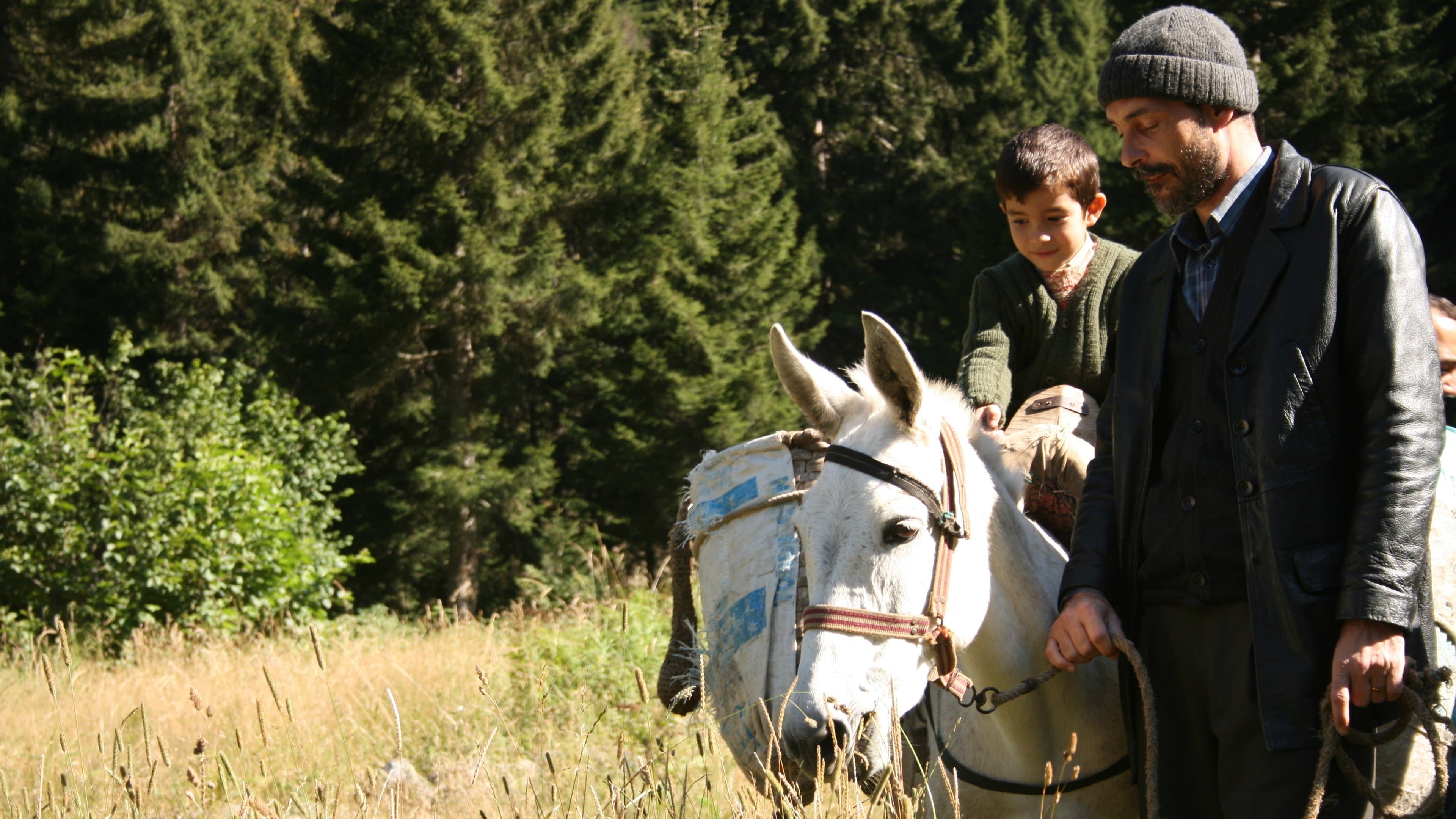 Poster backdrop for Honey