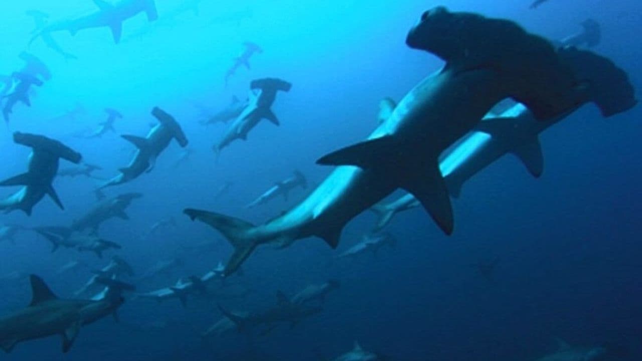 Poster backdrop for Deep Blue