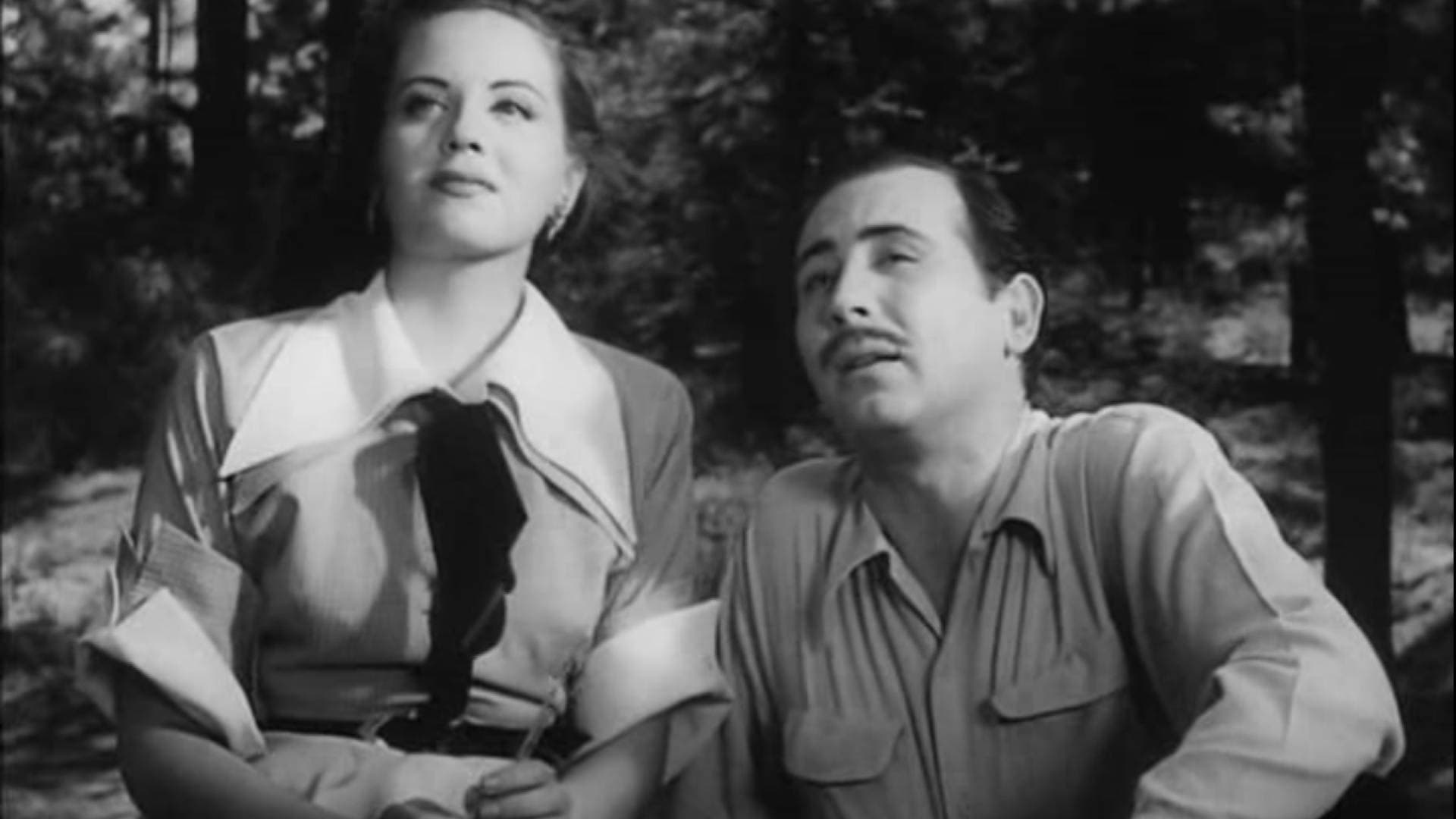 Poster backdrop for A Woman Without Love