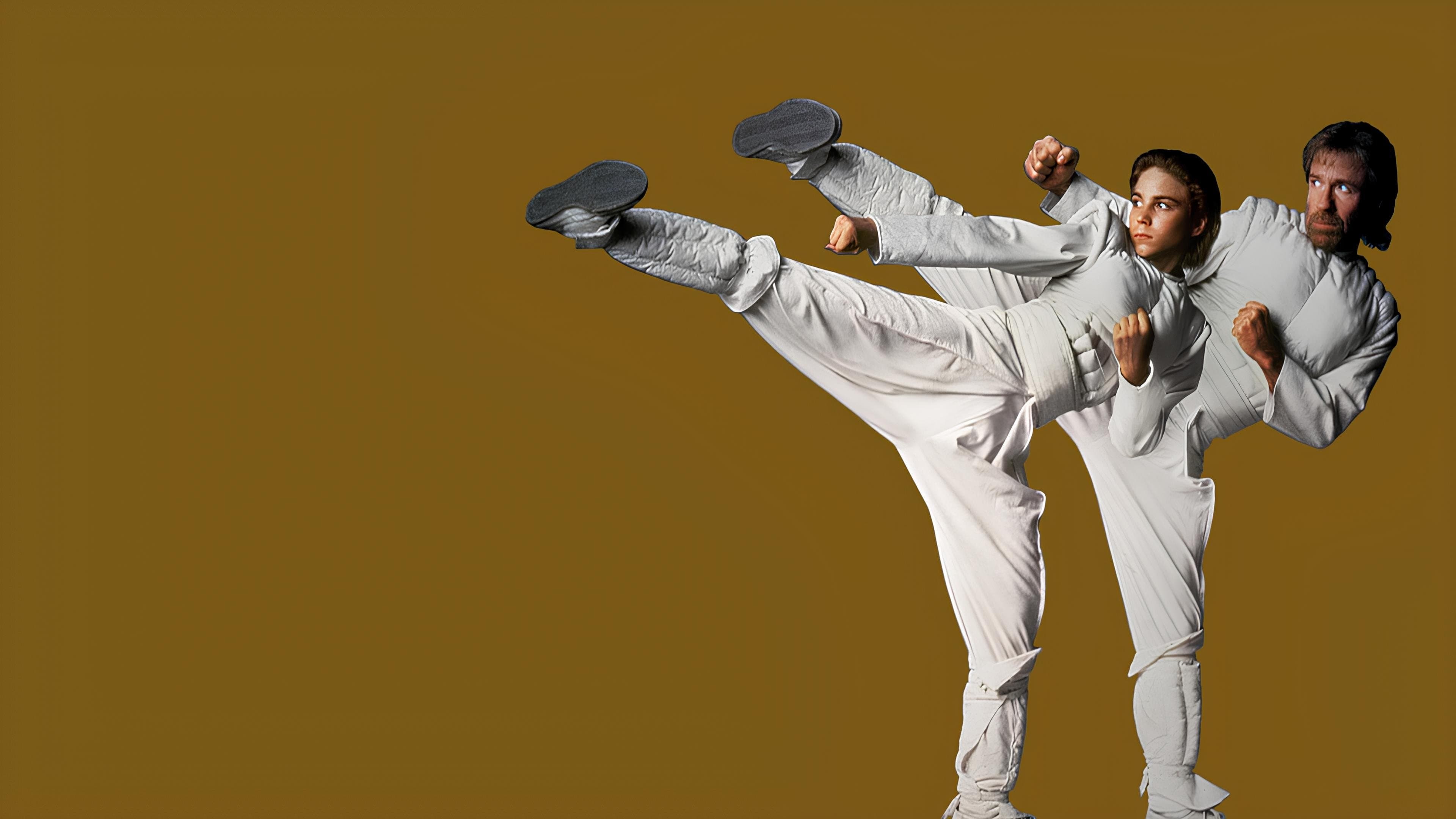 Poster backdrop for Sidekicks