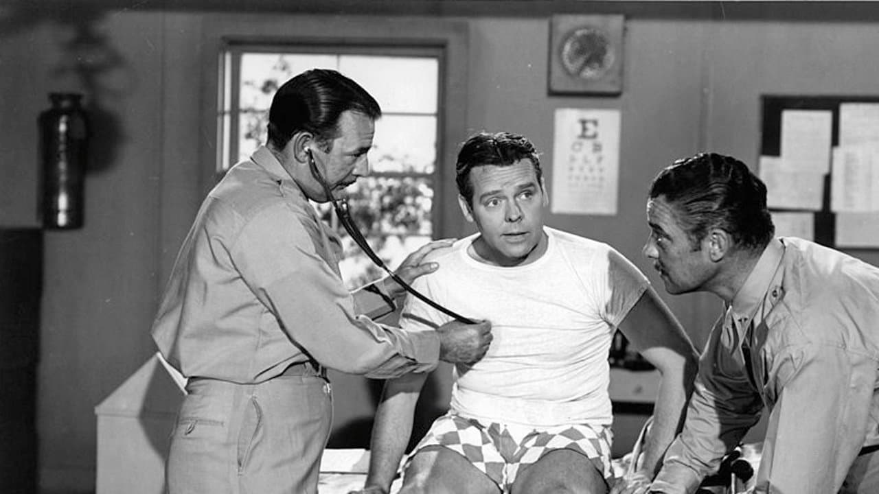 Poster backdrop for Blondie's Hero