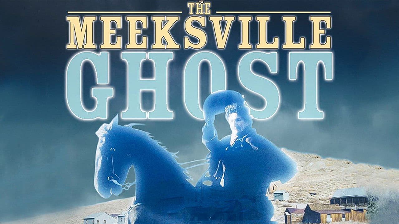 Poster backdrop for The Meeksville Ghost