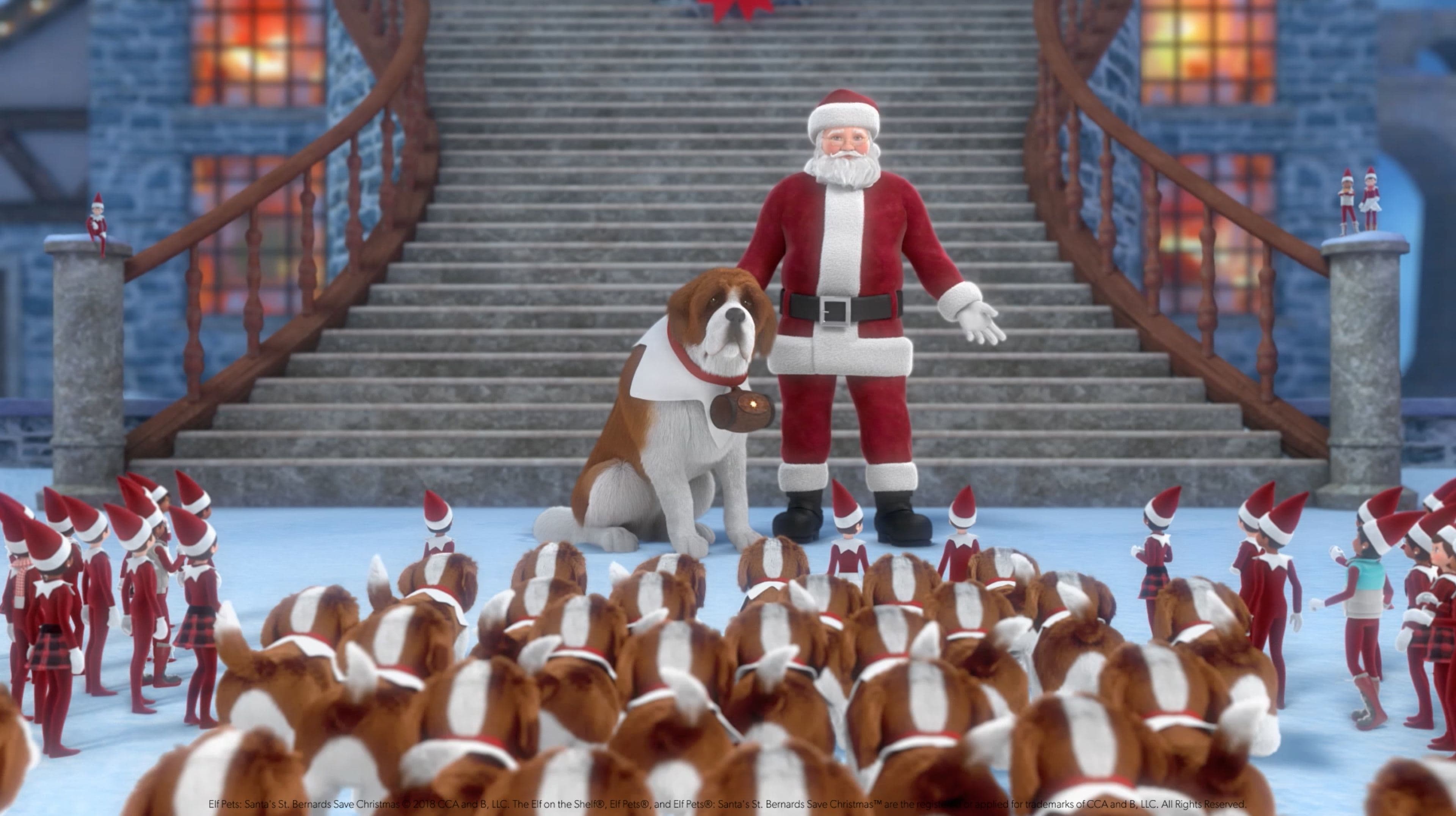 Poster backdrop for Elf Pets: Santa's St. Bernards Save Christmas