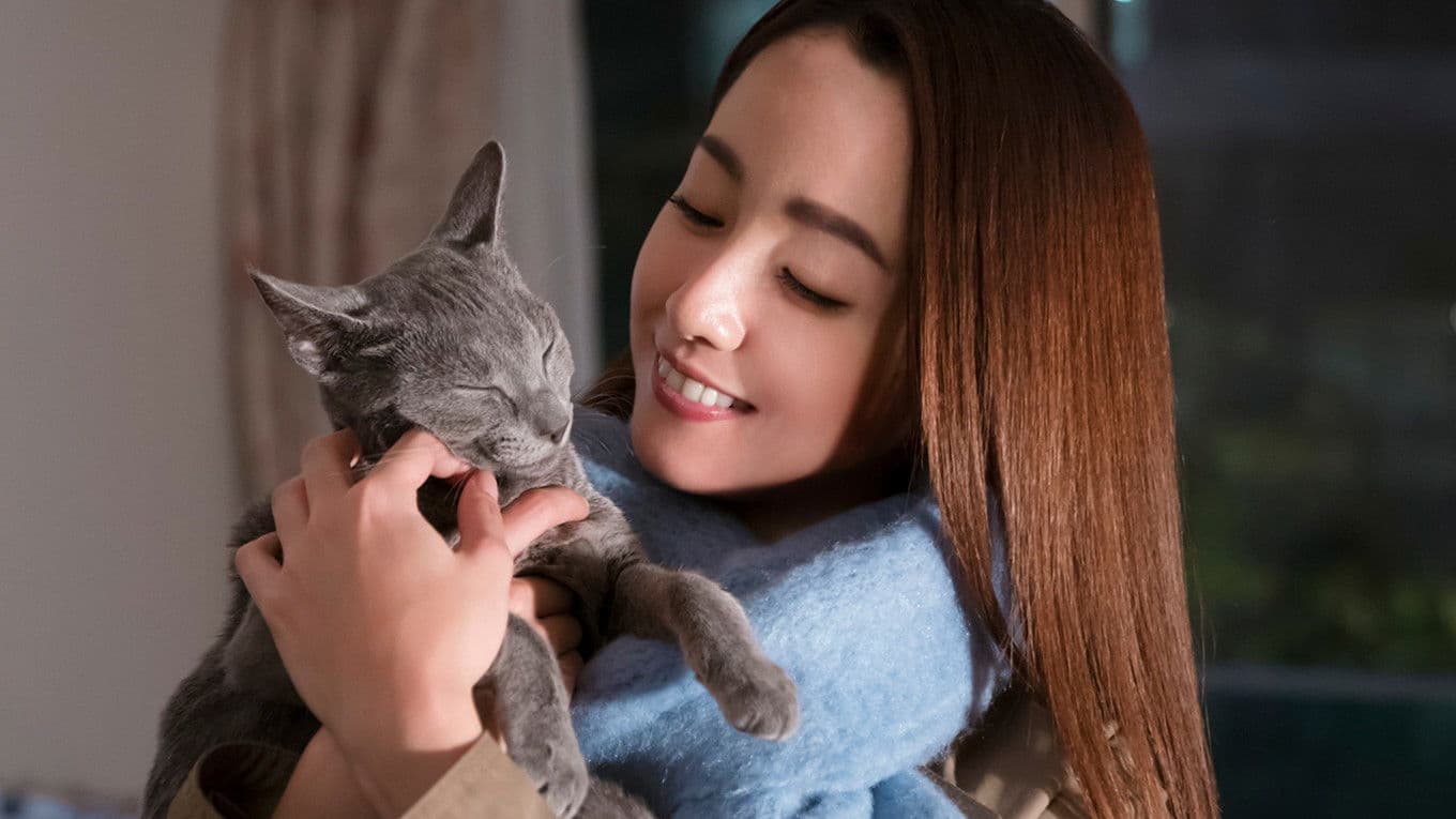 Poster backdrop for The Cat in Their Arms