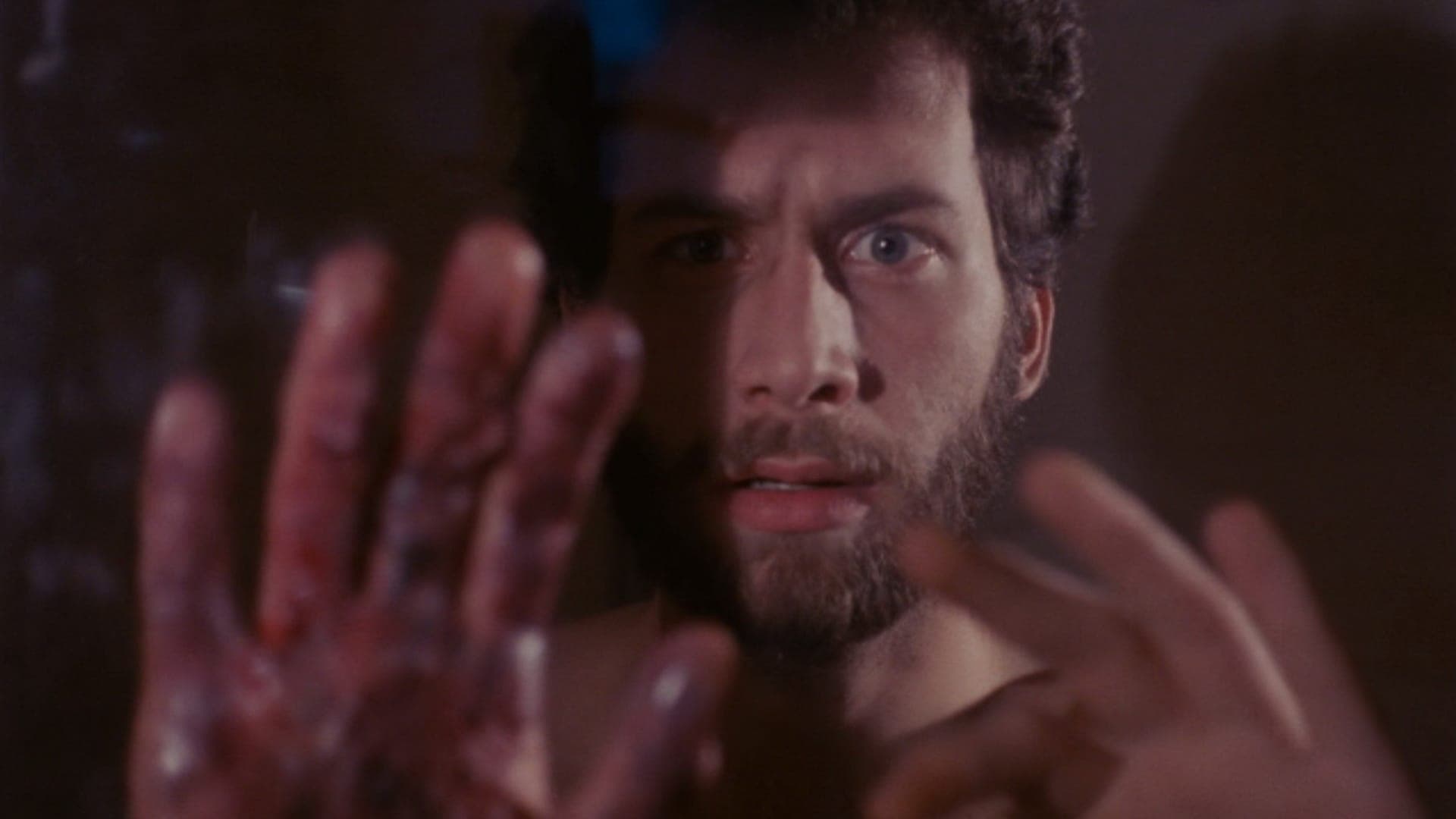 Poster backdrop for Revenge of the Living Dead Girls