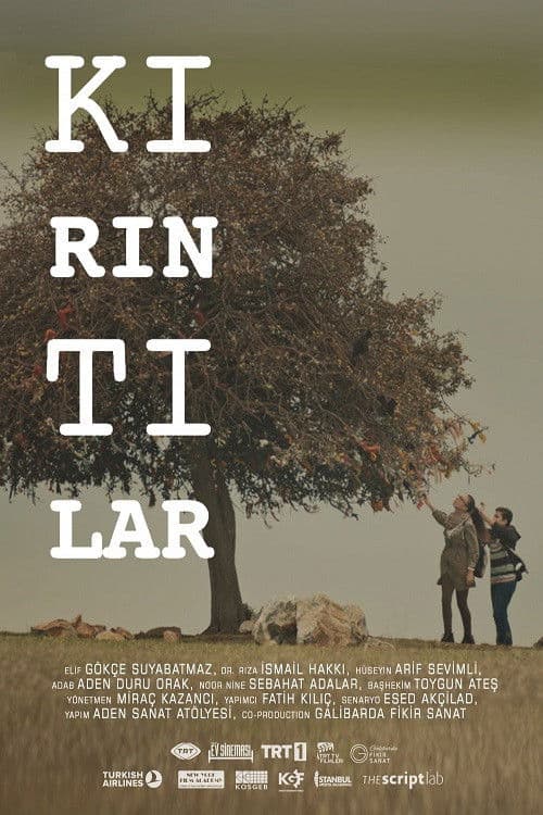 Poster backdrop for Kırıntılar