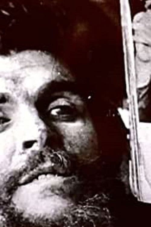 Poster backdrop for World in Action: End of a Revolution