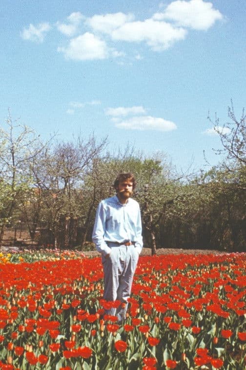 Poster backdrop for Tulip Field