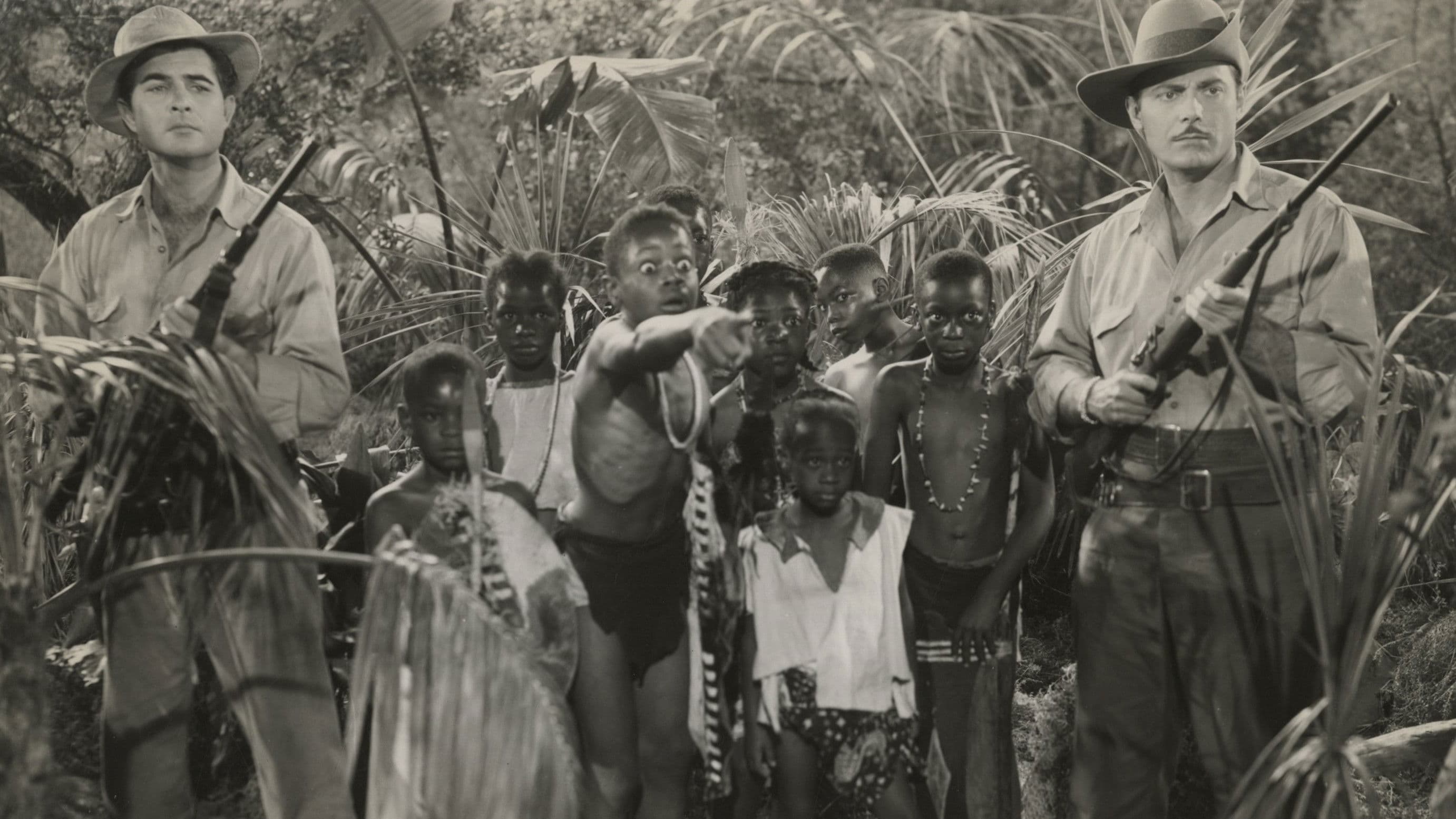 Poster backdrop for Zamba