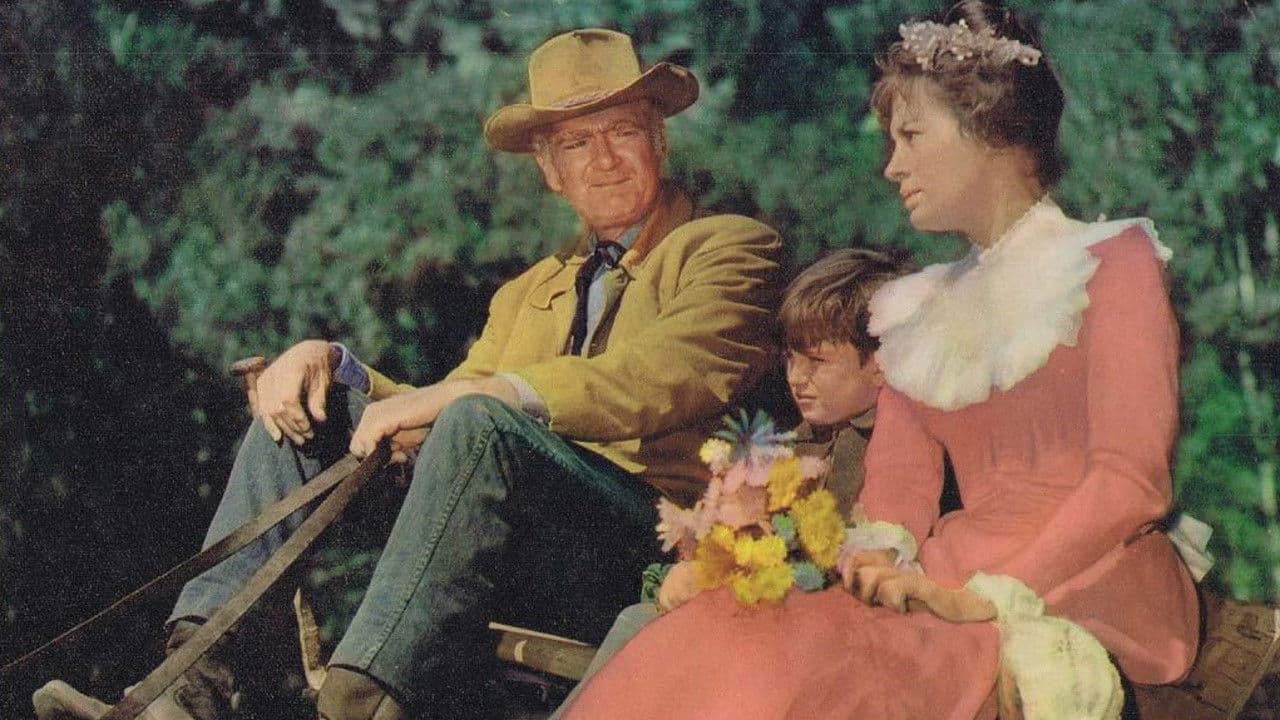 Poster backdrop for Mail Order Bride