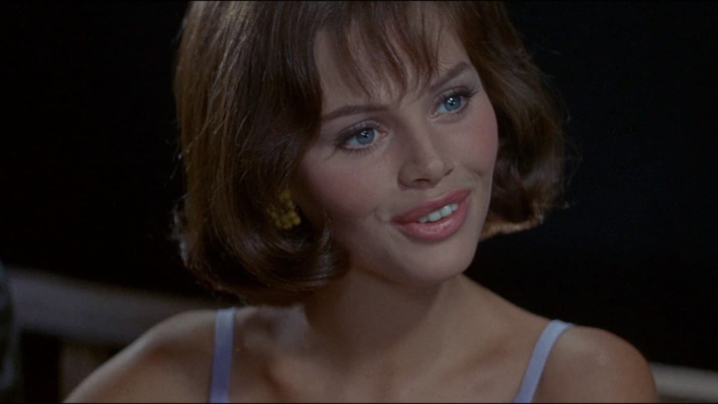 Poster backdrop for After the Fox