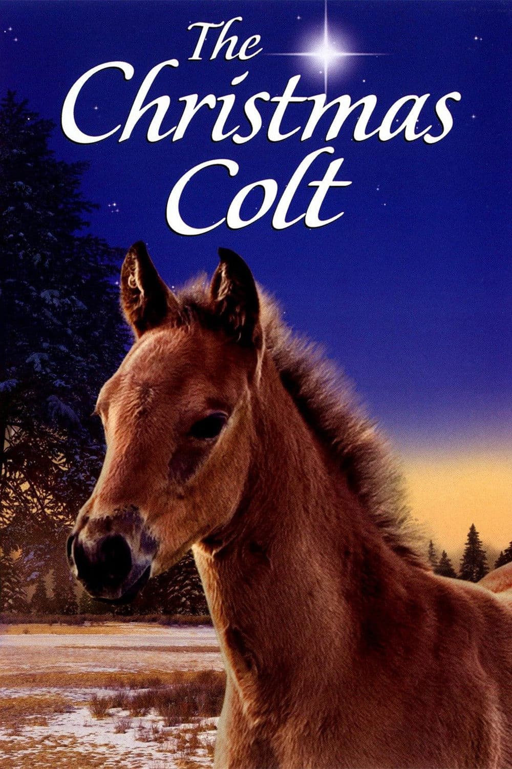 Poster backdrop for The Christmas Colt