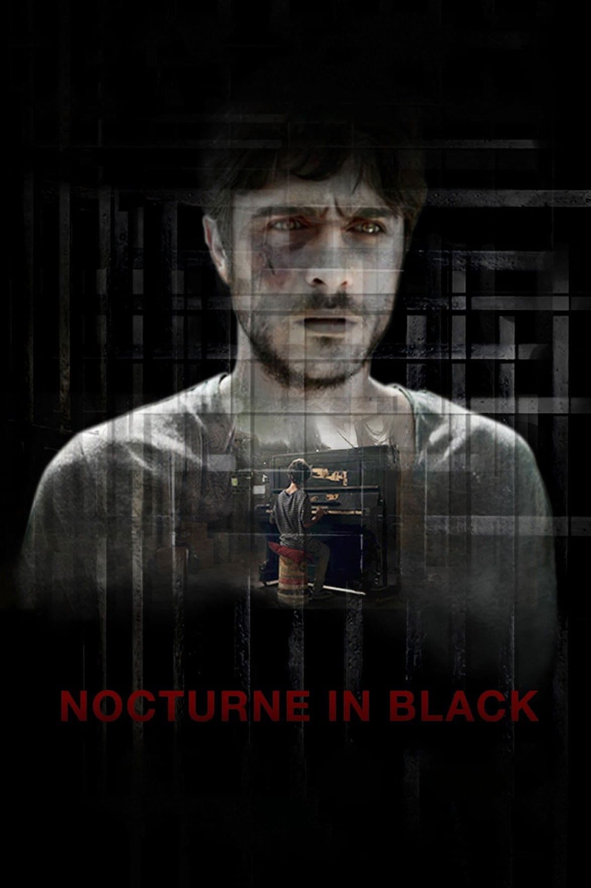 Poster backdrop for Nocturne in Black