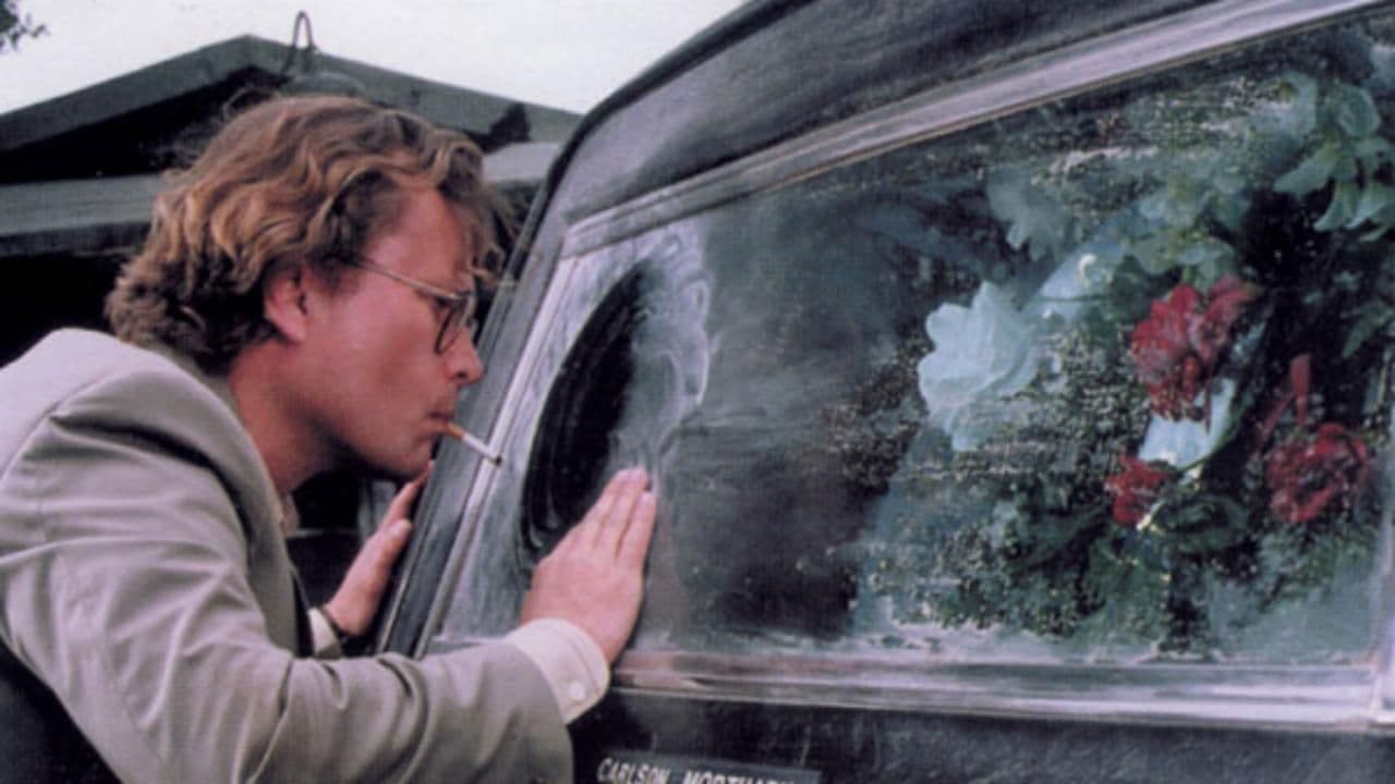 Poster backdrop for Door Into Silence