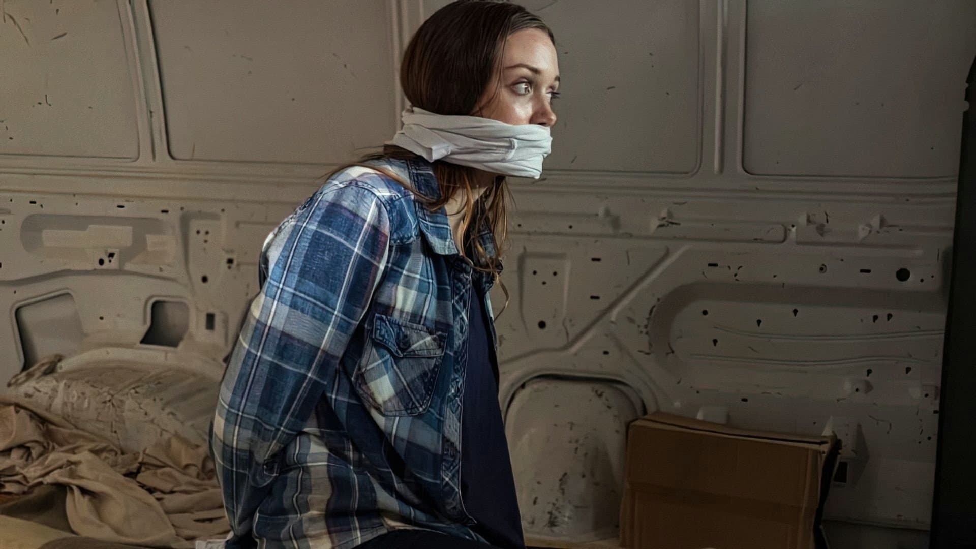 Poster backdrop for The Wrong Babysitter