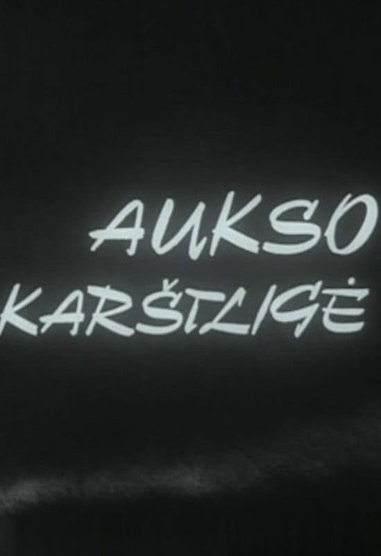 Poster backdrop for Aukso karštligė