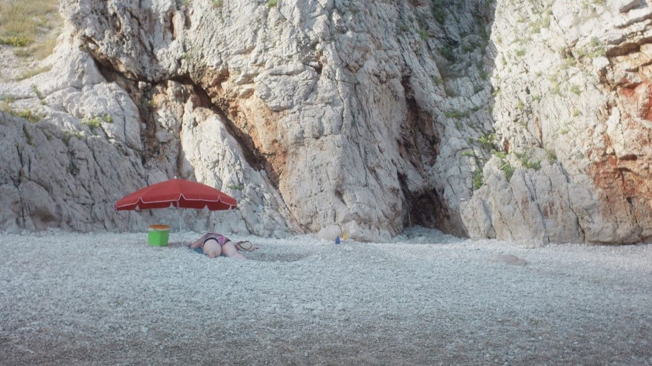 Poster backdrop for The Rudeness of a German Lady