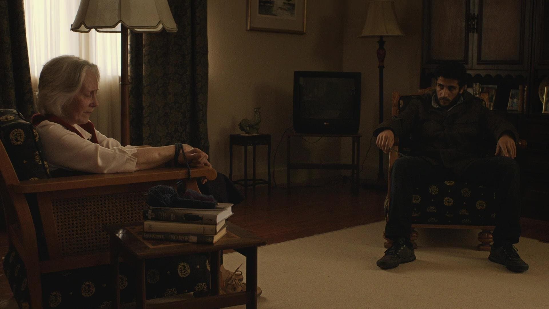 Poster backdrop for Last Dance