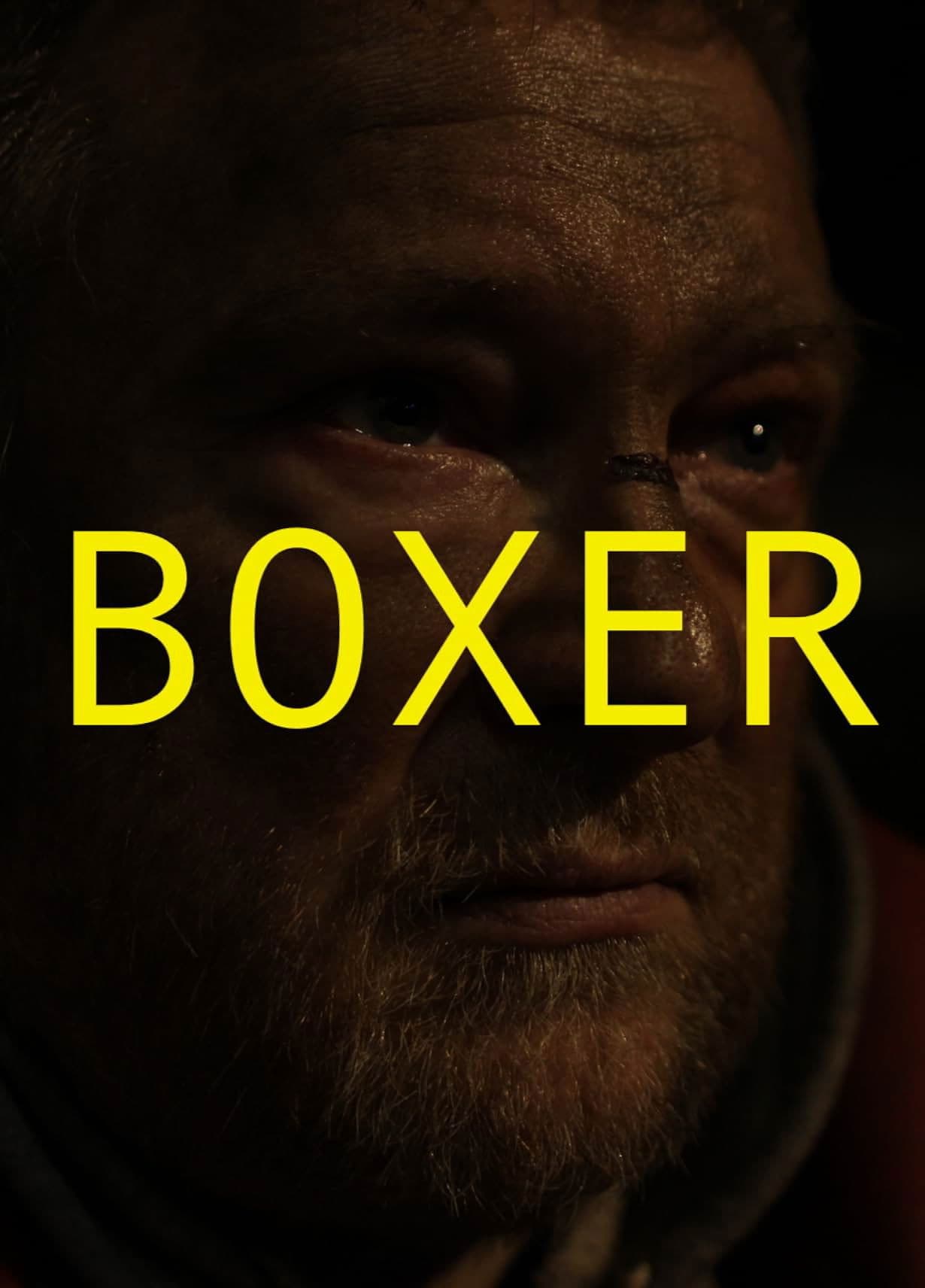 Poster backdrop for Boxer