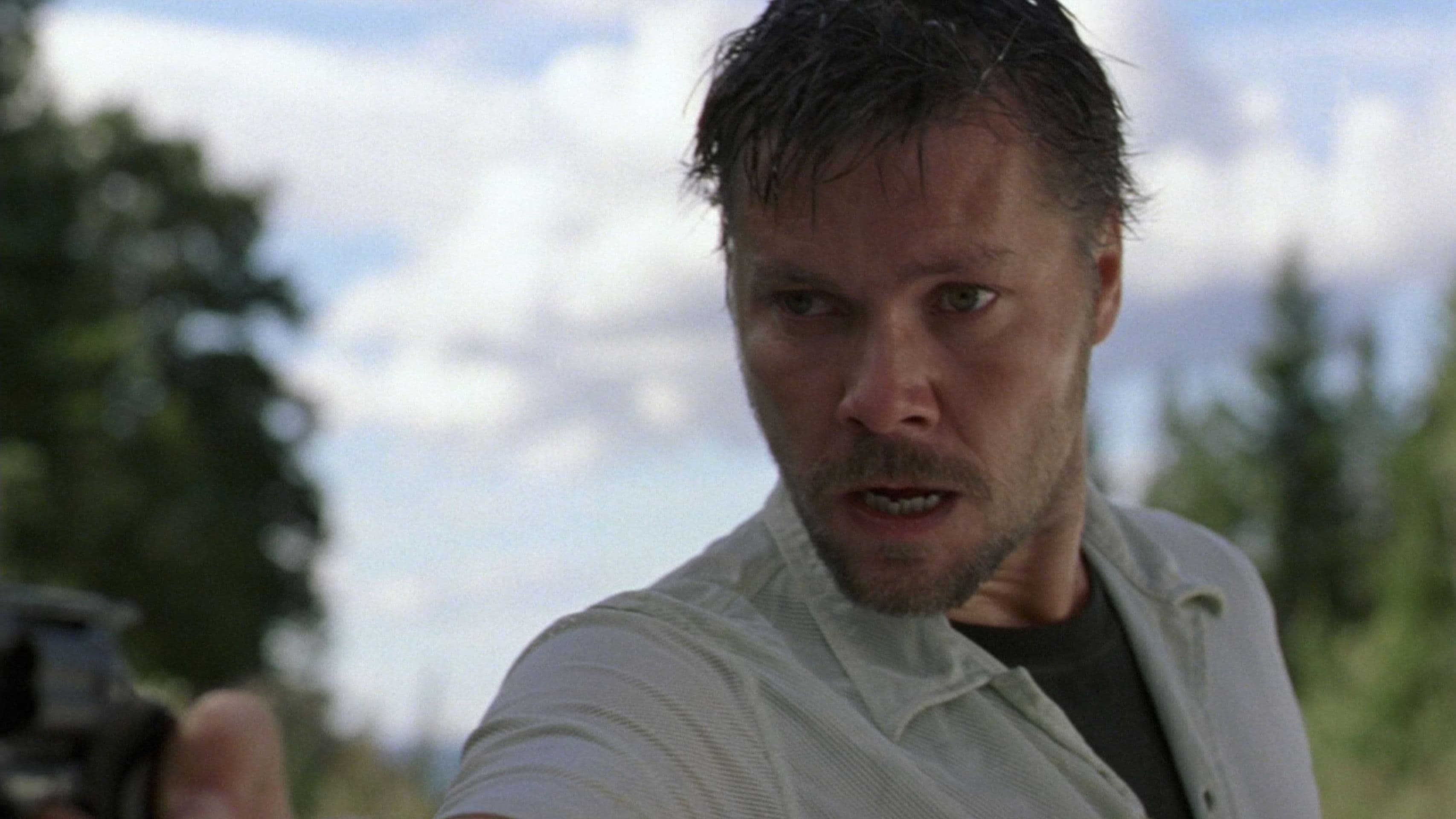 Poster backdrop for Cry in the Woods